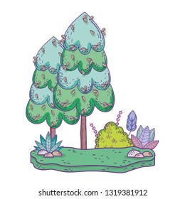 beautiful forest landscape scene