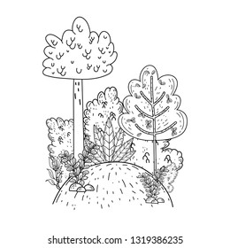 beautiful forest landscape scene
