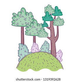 beautiful forest landscape scene