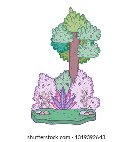 beautiful forest landscape scene