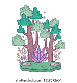 beautiful forest landscape scene