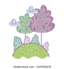 beautiful forest landscape scene