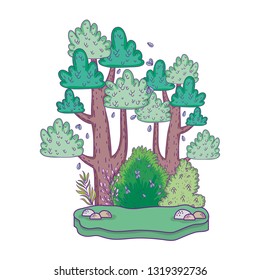 beautiful forest landscape scene