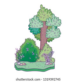 beautiful forest landscape scene