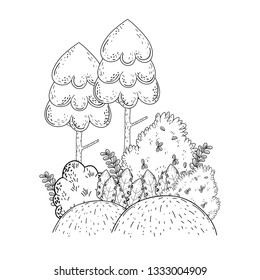 beautiful forest landscape scene