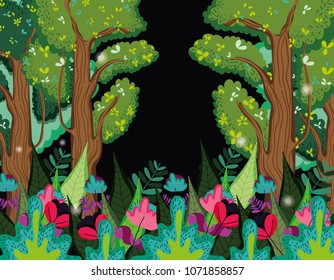 Beautiful forest at night