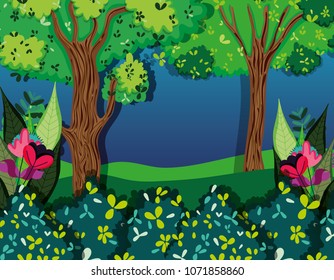 Beautiful forest at night