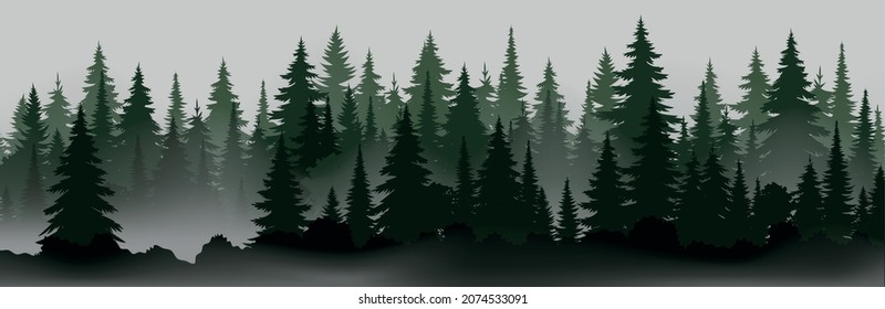 Beautiful forest. Realistic isolated vector. Landscape trees in mist design. Mystery fog concept.  Natural beauty. Forest trees.