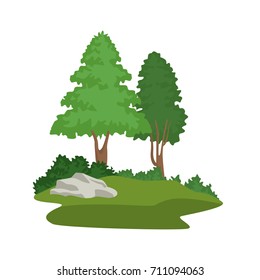 Beautiful forest scene