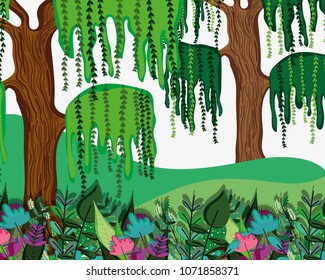 Beautiful forest scenery