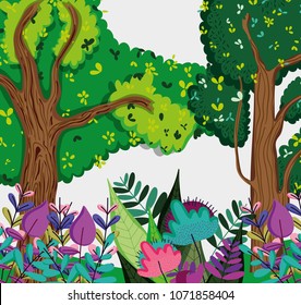 Beautiful forest scenery