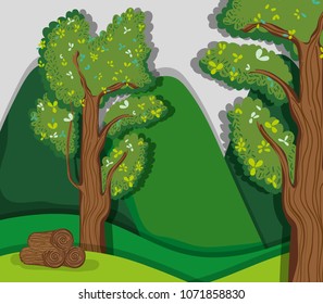 Beautiful forest scenery