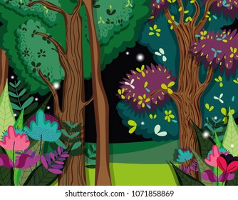 Beautiful forest scenery