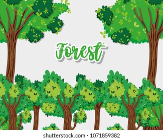 Beautiful forest scenery