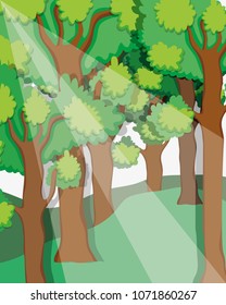 Beautiful forest scenery