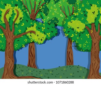 Beautiful forest scenery
