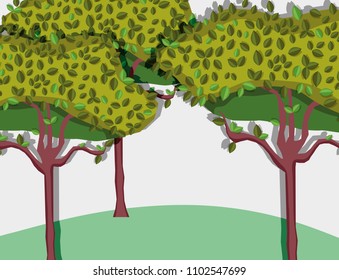 Beautiful forest scenery
