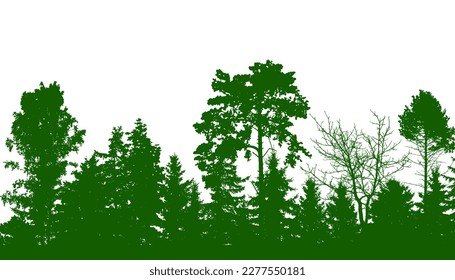 Beautiful forest, silhouette of firs, pines and different deciduous trees. Vector illustration.