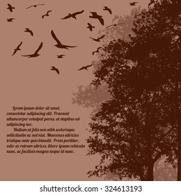 Beautiful forest trees with flying birds on retro style with space for your text, vector illustration