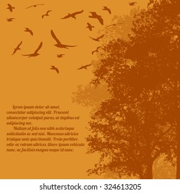 Beautiful forest trees with flying birds on orange with space for your text, vector illustration