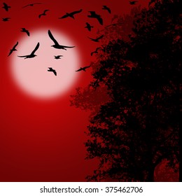 Beautiful forest trees with flying birds on red sunset, vector illustration