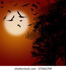 Beautiful forest trees with flying birds on orange sunset, vector illustration