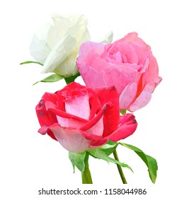 Beautiful fragrant flower. Wonderful Rose. Elements for label design. Vector illustration. Ingredients in triangulation technique. Rose low poly.