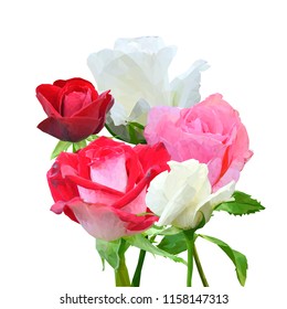 Beautiful fragrant flower. Wonderful Rose. Elements for label design. Vector illustration. Ingredients in triangulation technique. Rose low poly.