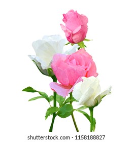 Beautiful fragrant flower. Wonderful Rose. Elements for label design. Vector illustration. Ingredients in triangulation technique. Rose low poly.