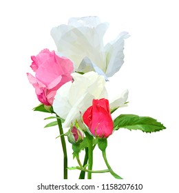 Beautiful fragrant flower. Wonderful Rose. Elements for label design. Vector illustration. Ingredients in triangulation technique. Rose low poly.