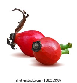 Beautiful fragrant rosehip. Wonderful wild rose. Elements for label design. Vector illustration. Ingredients in triangulation technique. Rosehip low poly.