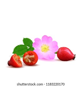 Beautiful fragrant rosehip. Wonderful wild rose. Elements for label design. Vector illustration. Ingredients in triangulation technique. Rosehip low poly.