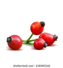 Beautiful fragrant rosehip. Wonderful wild rose. Elements for label design. Vector illustration. Ingredients in triangulation technique. Rosehip low poly.