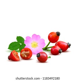 Beautiful fragrant rosehip. Wonderful wild rose. Elements for label design. Vector illustration. Ingredients in triangulation technique. Rosehip low poly.