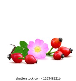Beautiful fragrant rosehip. Wonderful wild rose. Elements for label design. Vector illustration. Ingredients in triangulation technique. Rosehip low poly.