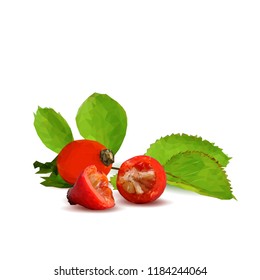 Beautiful fragrant rosehip. Wonderful wild rose. Elements for label design. Vector illustration. Ingredients in triangulation technique. Rosehip low poly.