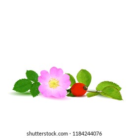Beautiful fragrant rosehip. Wonderful wild rose. Elements for label design. Vector illustration. Ingredients in triangulation technique. Rosehip low poly.