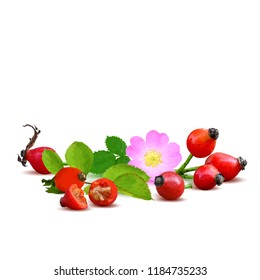 Beautiful fragrant rosehip. Wonderful wild rose. Elements for label design. Vector illustration. Ingredients in triangulation technique. Rosehip low poly.