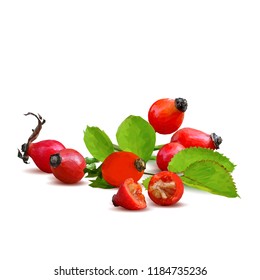 Beautiful fragrant rosehip. Wonderful wild rose. Elements for label design. Vector illustration. Ingredients in triangulation technique. Rosehip low poly.