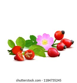 Beautiful fragrant rosehip. Wonderful wild rose. Elements for label design. Vector illustration. Ingredients in triangulation technique. Rosehip low poly.