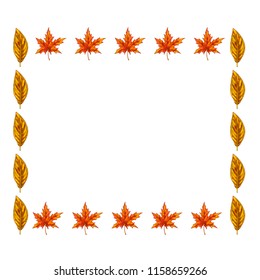 Beautiful frame of bright maple and poplars leaves isolated on white background. Autumn design. Vector illustration