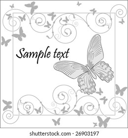 beautiful frame with butterflies