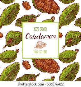 Beautiful frame with colorful cardamom. hand-drawn illustration