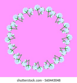 Beautiful frame composition cotton flower. Ingredient for fabric, treatment, cosmetics.