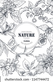 Beautiful frame with hand drawn branches, flowers and plants. Monochrome vector illustration in sketch style. Template for cards, invitations, wedding design.