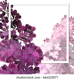 A beautiful frame passing through the flowers of lilac. Vector illustration, white background.