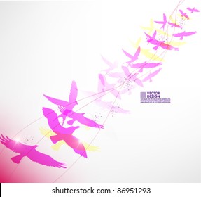 beautiful freedom birds vector background design