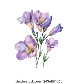 Schöne Freesia Blume Vektor-Illustration im Aquarell-Stil