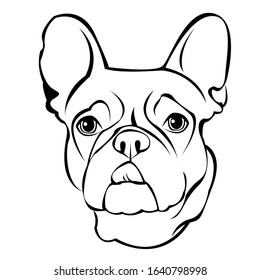 Beautiful french bulldog. You can bring it and create it on your product or whatever you want. Suitable for use as a logo, symbol, signage.