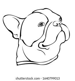 Beautiful french bulldog. You can bring it and create it on your product or whatever you want. Suitable for use as a logo, symbol, signage.